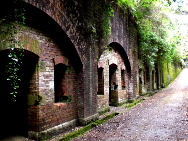 fransisca gallery
